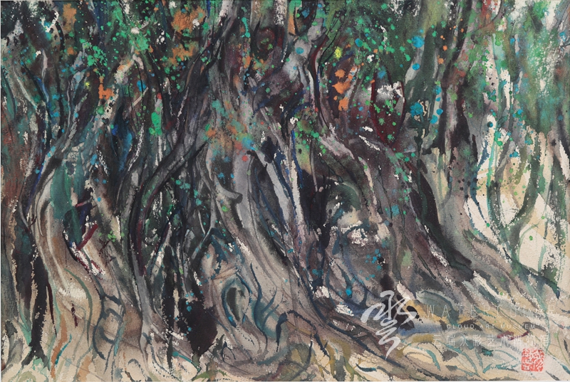 张效孟 《榕》 53*35cm 1977年